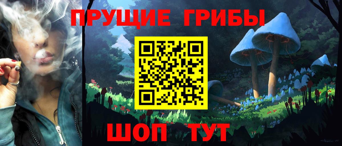 Галлюциногенные грибы прущие грибы Куйбышев