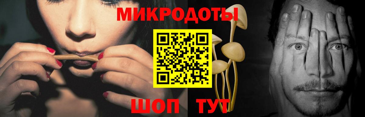 Псилоцибиновые грибы Cubensis  закладка  Куйбышев  Галлюциногенные грибы MAGIC MUSHROOMS  Вход с VPN 